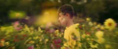 For Christopher,
his first moments with Pooh - Winnie-the-Pooh: Blood and Honey 2