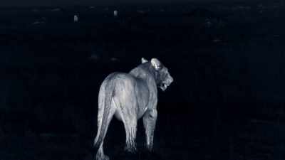 For this couple, the long wait
for their egg is almost over. - Dynasties