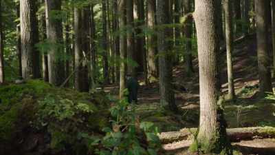 For Darwin, science was
a pathway to a deeper level - Cosmos: Possible Worlds