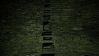 For early mariners,
storm petrels are an ill omen - Wild Ways of the Vikings