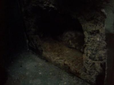 For eight months
the cell house roof - Unsolved Mysteries