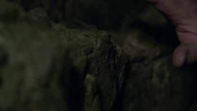 For example, you will be able to identify
certain sharp objects around you. - Human: The World Within