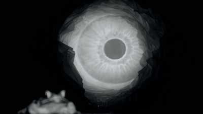 For frogs, it meant an eye trained to see primarily flies and bugs - The Minds of Men