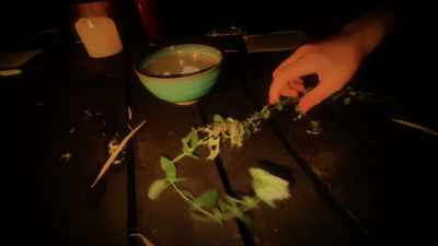 - For giving you these herbs
from a plant I planted, - He's Watching