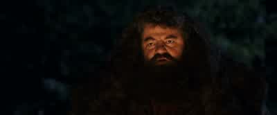 For God's sake, pull yourself together.You're going into the Forest. - Harry Potter and the Philosopher's Stone