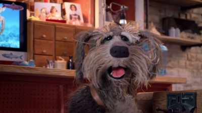For your information,
I didn't get a postcard from him - Fraggle Rock: Back to the Rock