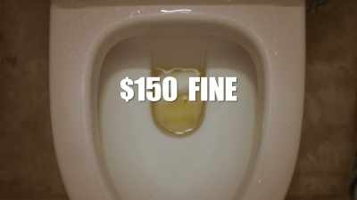 For instance, not
flushing a public toilet - This Giant Beast That is the Global Economy