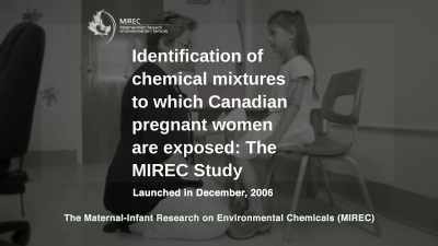 For instance, - Toxic Beauty