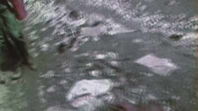 For instance,
there was this group called - Woodstock 99: Peace Love and Rage