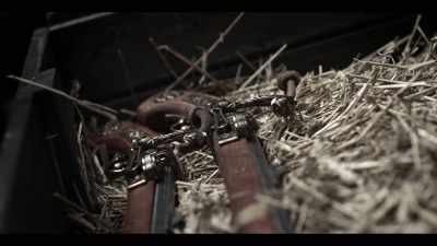 For many daimyo,
adopting firearms - Age of Samurai: Battle for Japan