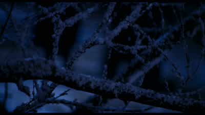 For me this is all personal It's all about family and honourWhy do you do it this job of yours What do you hope to get out of itI don't know Maybe some self realizationWhat have you got out of it so farNightmares - Van Helsing