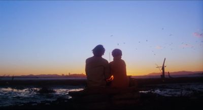 For me they will always be    glorious  birds - Harold and Maude