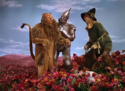 For meritorious - The Wizard of Oz