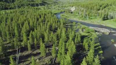 For most of yellowstone's birds, - Epic Yellowstone