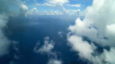 For much of its expanse,
the ocean is largely empty. - David Attenborough: A Life on Our Planet