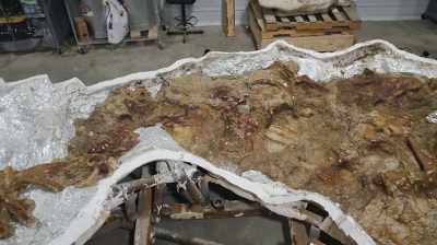 FOR MY COLLEAGUES WHO THINK THAT
THIS IS REALLY - Dino Hunters