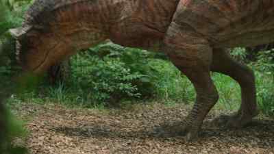 For now, it's back to litter picking. - Prehistoric Planet