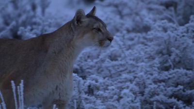 For Petaca, the winter has brought an even greater concern. - Earth at Night in Color