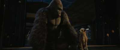 For this plan to work,
I'm gonna need your help. - The One and Only Ivan