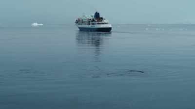 For Shackleton, of course,
the orca were something to be
feared. - Shackleton: The Greatest Story of Survival