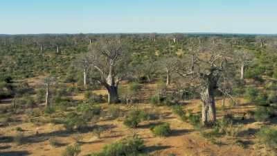 For six months of the year, - The Green Planet