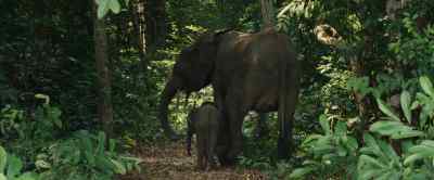 For slower, longer
living things, - Our Universe