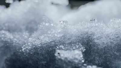 For when spring arrived, - Yellowstone: One-Fifty