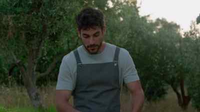 For starters, I have
prepared dolmadakia, which - A Greek Recipe for Romance
