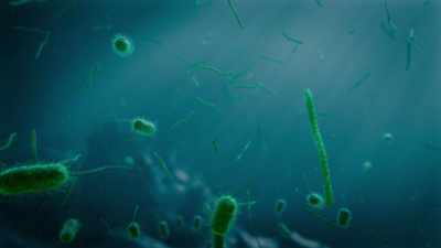 For the anaerobes,
oxygen was poison, - Cosmos: Possible Worlds