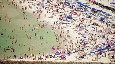 For the average beachgoer,
there are no guarantees. - Shark Attack Files