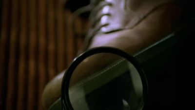 For the facts were not these - Pushing Daisies