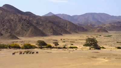 For the first time in human history, - Our Planet