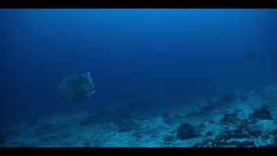 For the first time, - Our Oceans