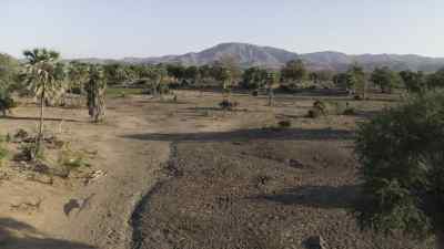 For the Majungasaurus,
yet another hunt has ended in failure. - Prehistoric Planet