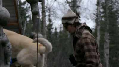 For the moose hunt,
I think it's best if - Life Below Zero: Next Generation