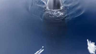 "For the next four months," - Secrets of the Whales