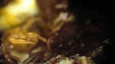 For the next three months, - Tiny World
