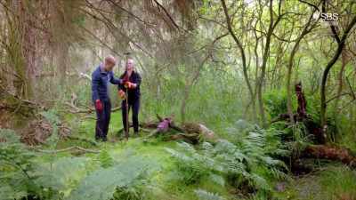 For the past 50 years, - Curse of the Ancients with Alice Roberts