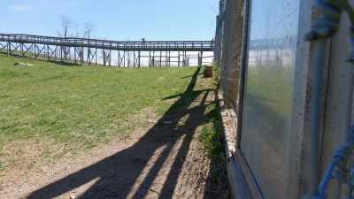 For the pups' safety, they will
be separated by a fence, - Secrets of the Zoo