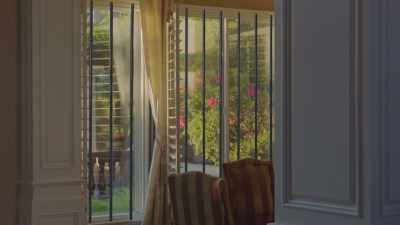For the windows.
To prevent from any intruders. - Picture Perfect Lies