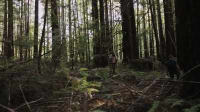 For us, aside from finding
an actual bigfoot - Expedition Bigfoot