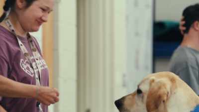 For us to communicate to the dog,
we've gotta learn how to talk dog, - Inside the Mind of a Dog