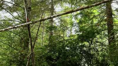 For us, this is difficult, - Expedition Bigfoot