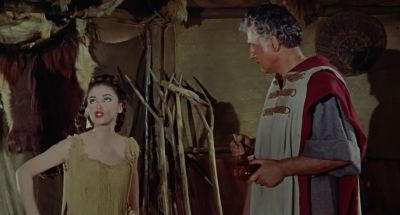 For what purpose A bird has colorful feathers to attract others - Sodom and Gomorrah