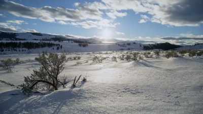 For winter's most lethal force
may well be its duration. - Epic Yellowstone