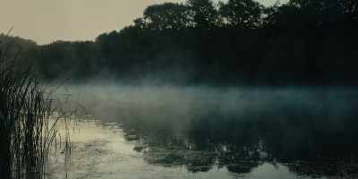 - For you to get to that point
to want to take your life, - Low Country: The Murdaugh Dynasty
