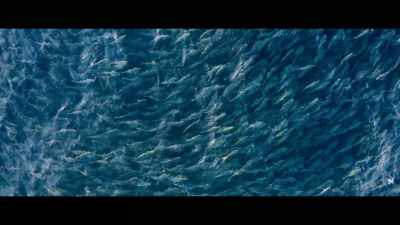 For you, what is success in life? - The Deepest Breath