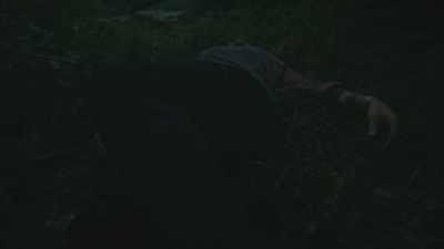 [forest din] - The Woods Are Real