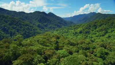 Forests cut down in order
to create holes in the jungle - Edge of the Earth