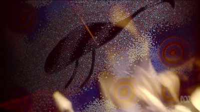 Forever you will be seen
running across the night sky - Brian Cox: Life Of A Universe